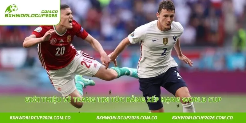 Giới thiệu về trang tin tức bảng xếp hạng world cup